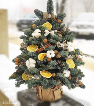 Фото Новогодняя композиция Ёлка Нордмана