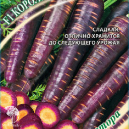Морковь Фиолетовая Королева