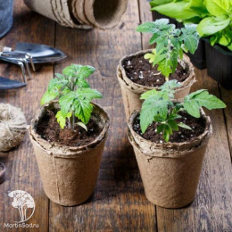 Торфяной горшок, 100 мл, 6 × 6 см «Умный город»