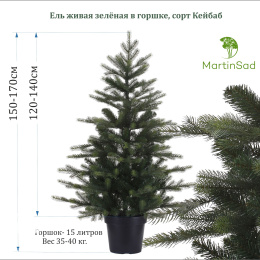 Ель Кейбаб