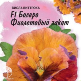 Виола Болеро Фиолетовый закат F1, Виттрока (Анютины глазки), серия Фарао 