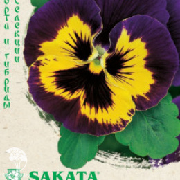 Виола Барон Пурпурный F1 Виттрока  (Анютины глазки) Саката серия Эксклюзив