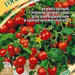 Томат Горшечный красный 