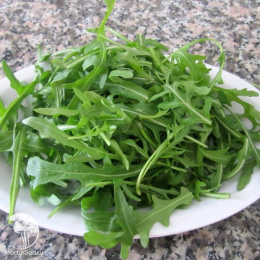 Индау (руккола) Амбассадор 