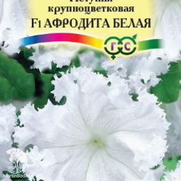 Петуния Афродита белая F1 (Фриллитуния) бахромчатая