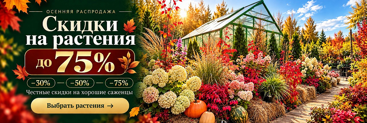 Скидки на растения до 75%