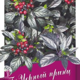 Перец декоративный, острый Черный принц серия Блэк