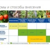 Кальциевая селитра  (N-15,5%, Ca-19%) 100% норвежский продукт! фото 2 