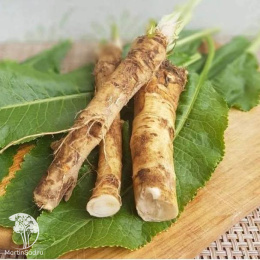 Катран (Хрен) Аккорд