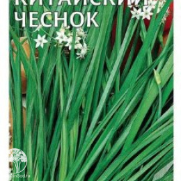 Лук Душистый Китайский чеснок