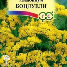 Лимониум Бондуели