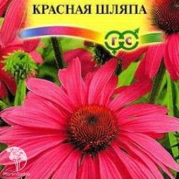 Эхинацея Красная шляпа