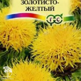 Василек Золотисто-желтый, крупноголовчатый, многол.