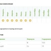 Кальциевая селитра  (N-15,5%, Ca-19%) 100% норвежский продукт! фото 1 