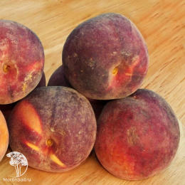 Персик Вайн Голд