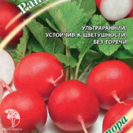 Редис Ранний хрустик