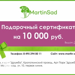 Подарочный сертификат