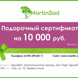 Подарочный сертификат