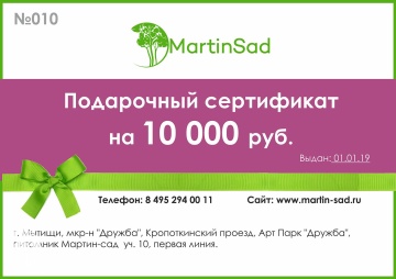 Фото Подарочный сертификат