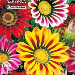 Гацания крупноцветковая Муза, смесь Уд. с.