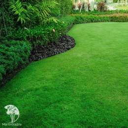 Газон Универсальный