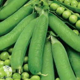 Горох овощной Детский сахарный