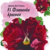 Виола Фламенко красная F1 Виттрока (Анютины глазки) серия Фарао фото 1 