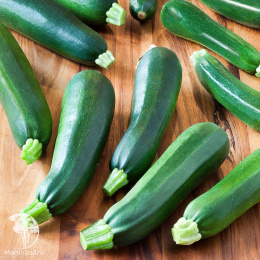 Кабачок Фараон 