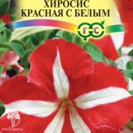 Петуния Хиросис красная с белым крупноцветковая