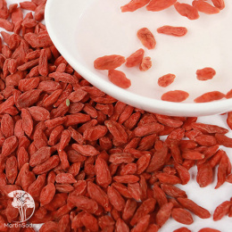 Дереза китайская Ягоды Годжи