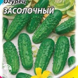 Огурец Засолочный 
