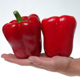 Перец сладкий Арчи F1 ( 2-ной пак.)