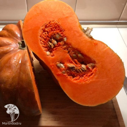 Тыква мускатная Мускатная Прованская