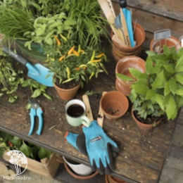 Комплект садовых инструментов Gardena  "Домашнее садоводство" (секатор, лопатка, перчатки садовые, многофункциональный кувшин с заостренным краем)