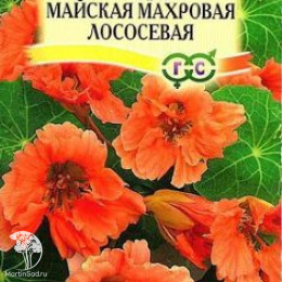Настурция Майская Махровая Лососевая
