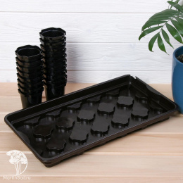 Набор для рассады: стаканы по 200 мл (18 шт.), поддон 42 × 23