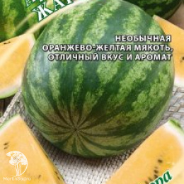 Арбуз Жарок 