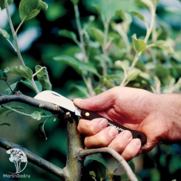 Изогнутый нож для прививок K62