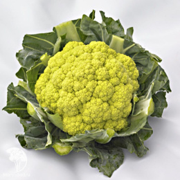 Капуста цветная Грин Шторм F1