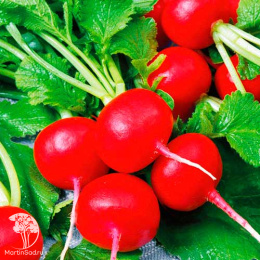 Редис Клюква в сахаре + Эспрессо F1 (серия Дуэт)