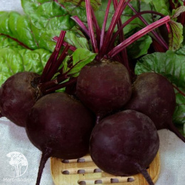 Свекла столовая Наоми