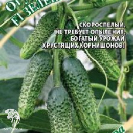 Огурец Зеленая лавина