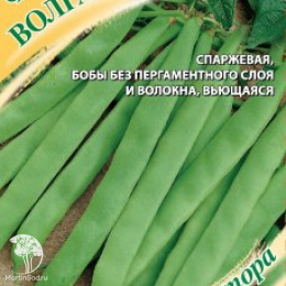 Фасоль Волга-матушка