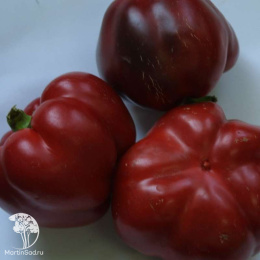 Перец Кубок рубиновый 