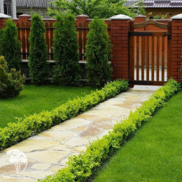 Газон Вдоль дорожки