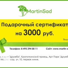 Подарочный сертификат