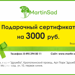 Подарочный сертификат