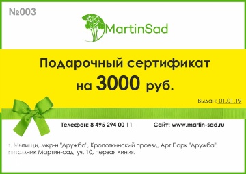 Фото Подарочный сертификат