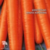 Морковь Деликатесная, серия Заморозь! фото 1 