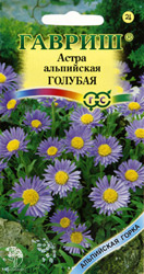 Астра альпийская Голубая
